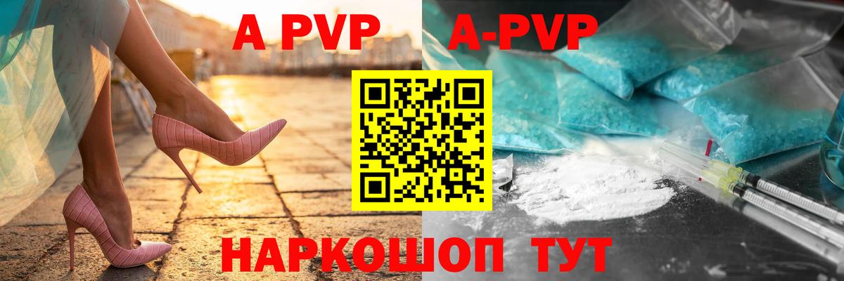 Альфа ПВП СК КРИС Нальчик