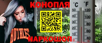 тгк Севастополь