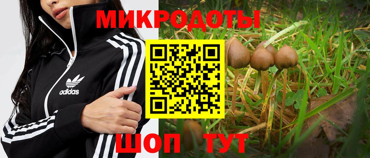 Галлюциногенные грибы GOLDEN TEACHER  Вход с VPN  Нальчик  Псилоцибиновые грибы Psilocybe 